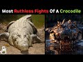 10 Strongest Opponents for a Crocodile