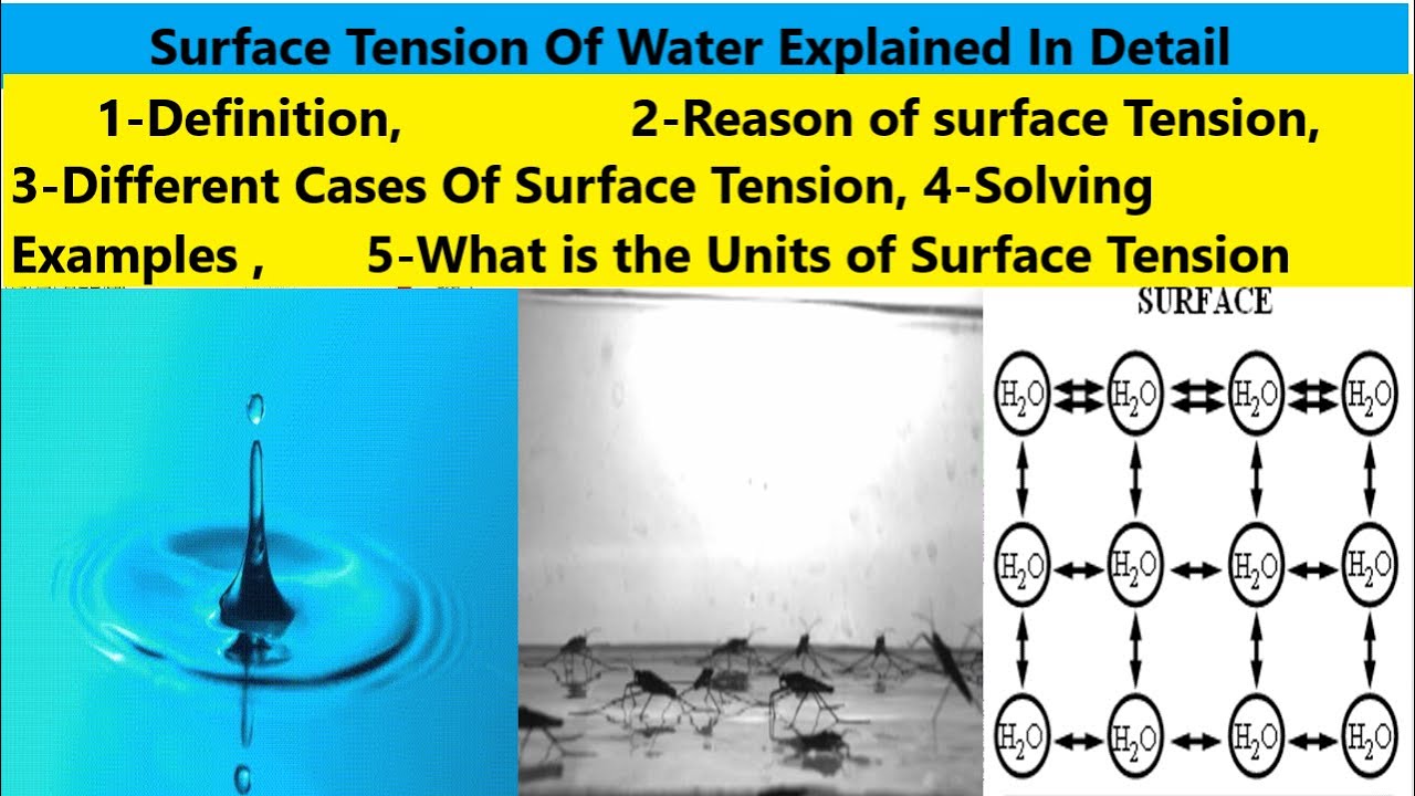 What Is Surface Tension Of Water Explained In Detail YouTube
