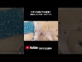 ハギレを繋いで大変身！ 無駄なしリメイク術　エピソード４