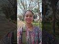 Trip day 2