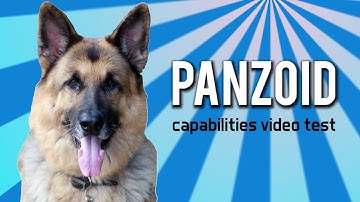 Panzoid capabilities video test results