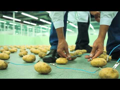 Видео: Вырабатывают ли фрукты и овощи электричество?