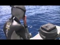 Submerged- Freediving Documentary