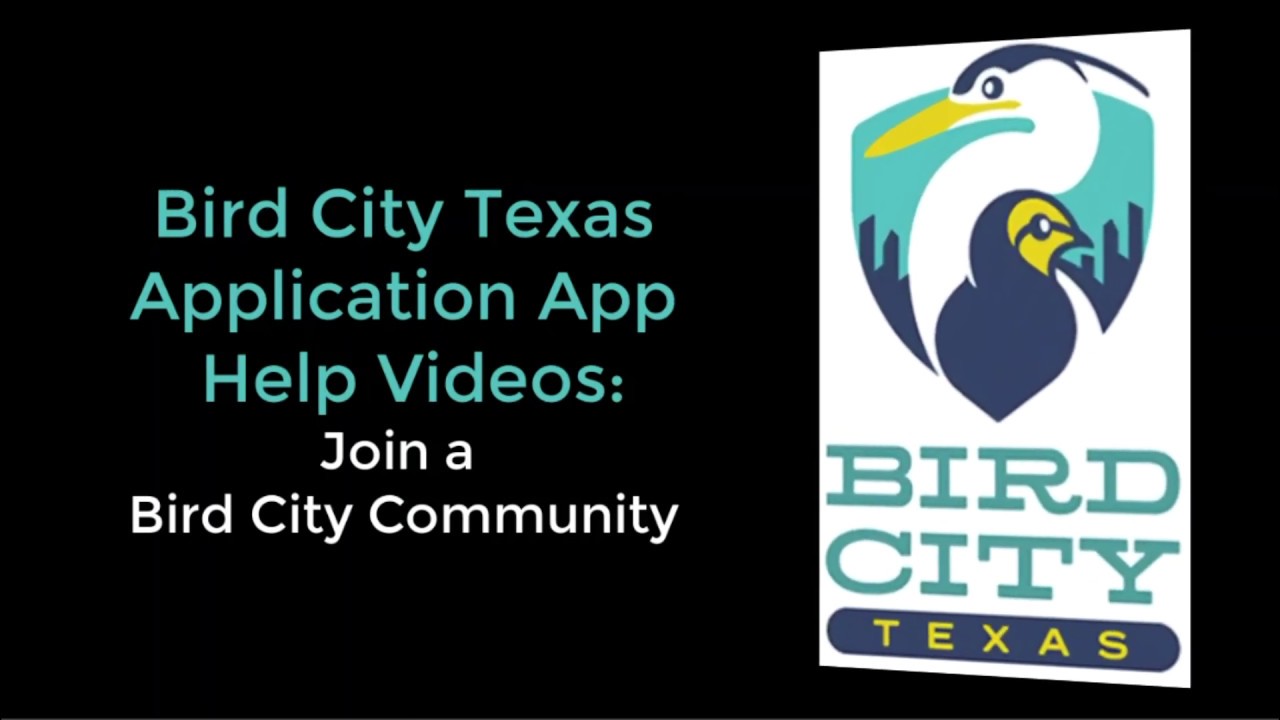 Bird City Texas Join a community YouTube