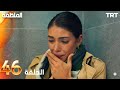 مسلسل المنظمة الحلقة 46