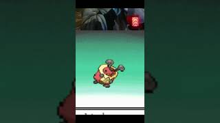 DID YOU SEE IT?! #live SUNDAY - WEDNESDAY #pokemon #twitch #randomizer #well #secondchance