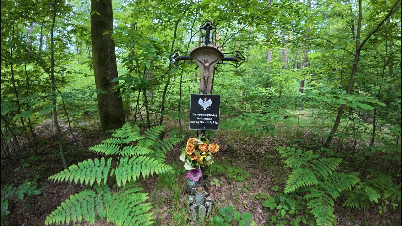 POSYPAŁY SIĘ ŁUSKI Znaleźliśmy artefakty sprzed 80 lat!