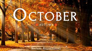 October 4K 🍁 A Journey Through Fall Foliage | Crimson Forests & Golden Autumn Landscapes screenshot 3