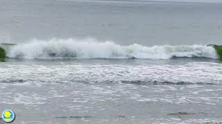 Hurricane Erin Brings Rip Currents to Myrtle Beach