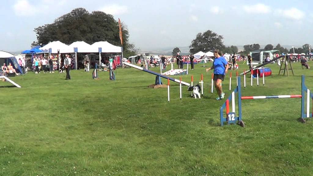 20120811 KC Internationals Agility 6 Mystic