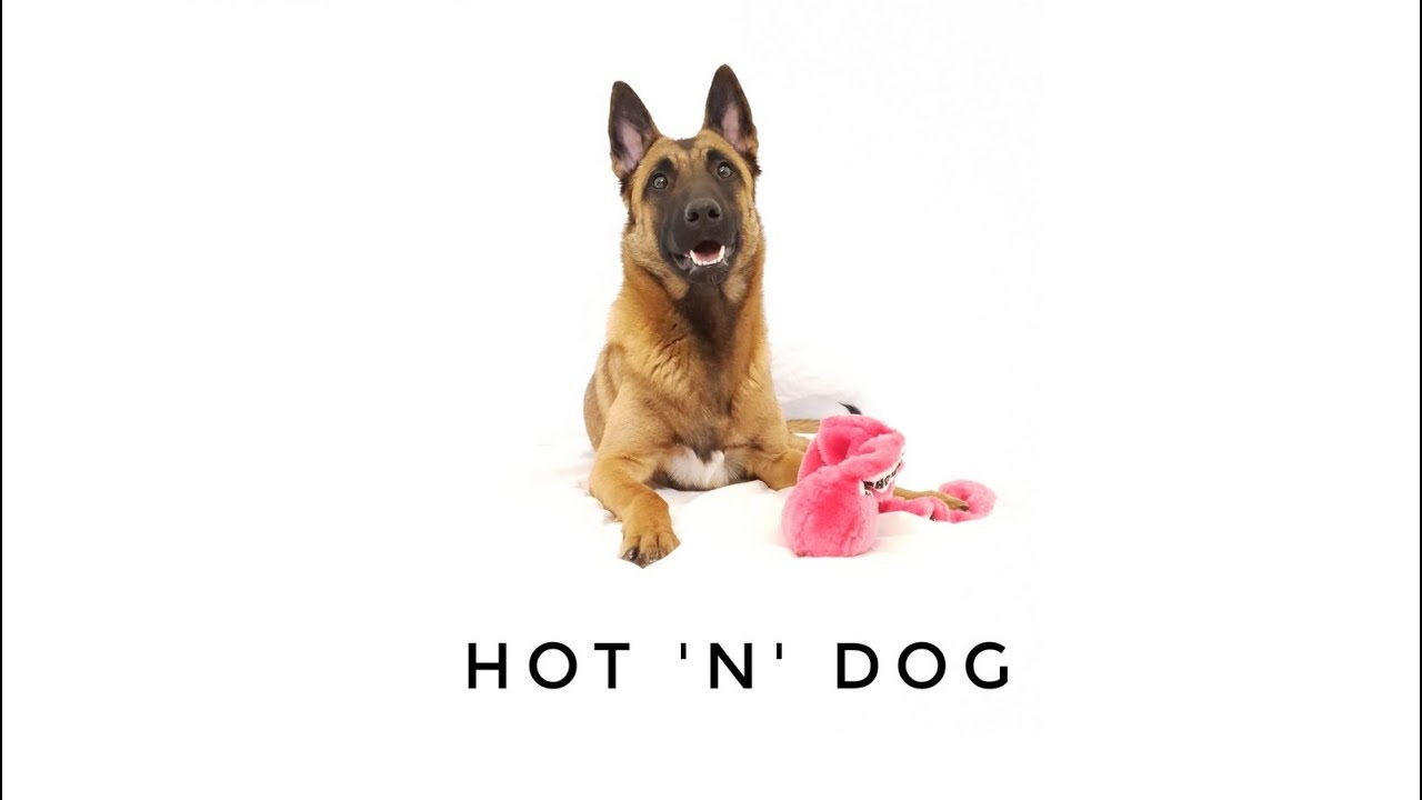 K1J1 Rally-tokon perustaidot