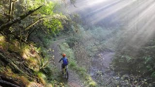 Reefton, The Town Of Light...and Singletrack