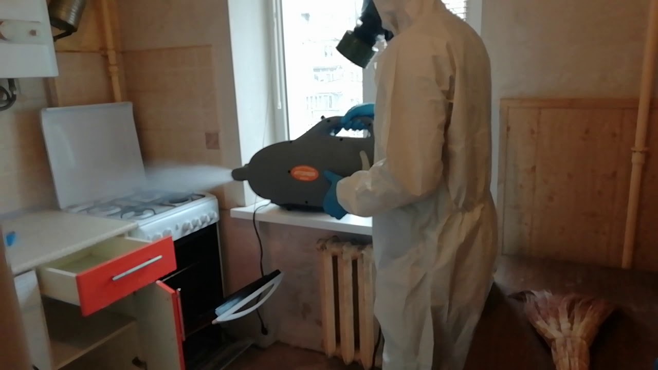 Как вывести тараканов из квартиры знает Чикой-Сервис - YouTube