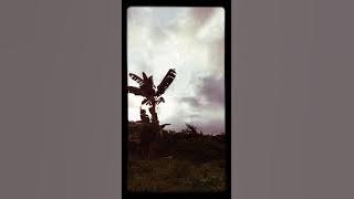 SANGKUNI BIKIN ONAR(LOK SAMARINDA)