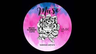 Bassel Darwish - Chapter (Original Mix) [Muse]