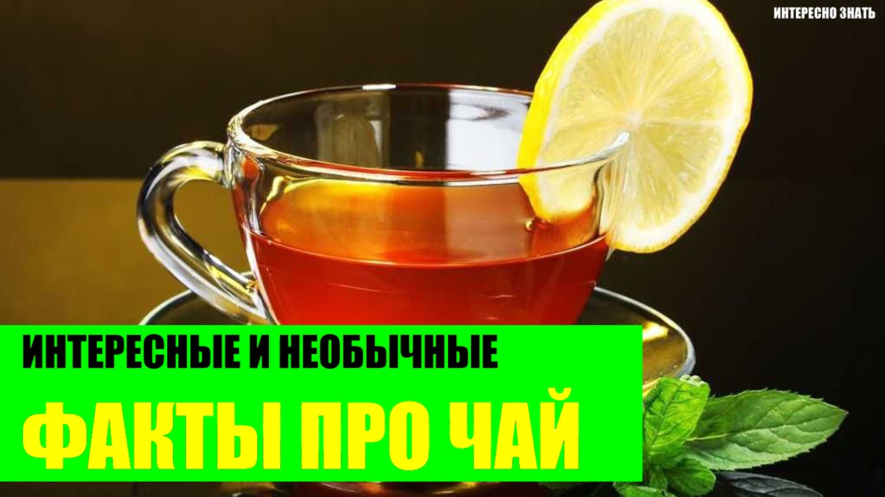 Интересные факты про чай