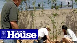 How To Plant A Bamboo Screen - This Old House