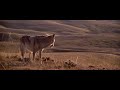 Dances with Wolves - "Two Socks" (John Barry)