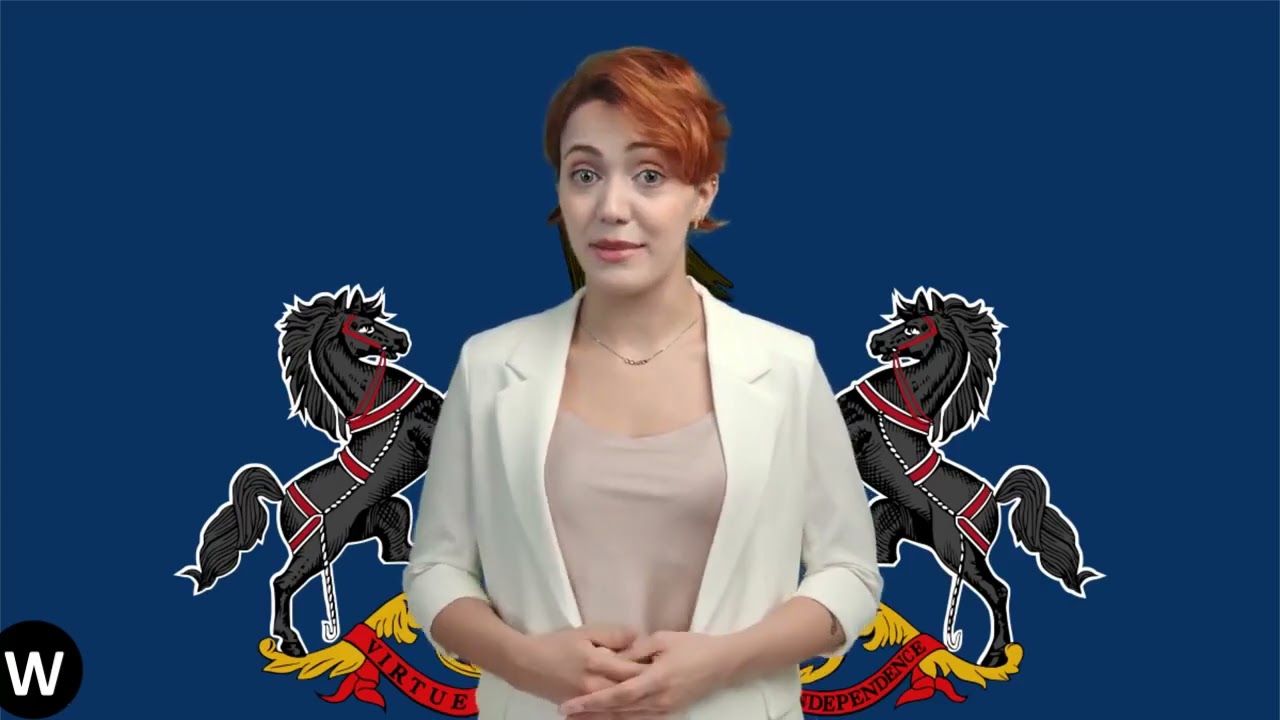 Pennsylvania State Flag