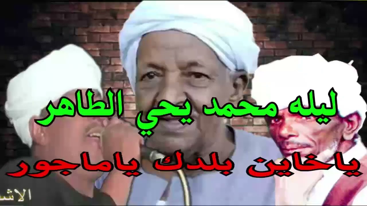 ملوك الفن : رشاد عبدالعال || وابودرويش ( ياخاين بلدك ياماجور ) ليله محمد يحي الطاهر (الجزء 2)