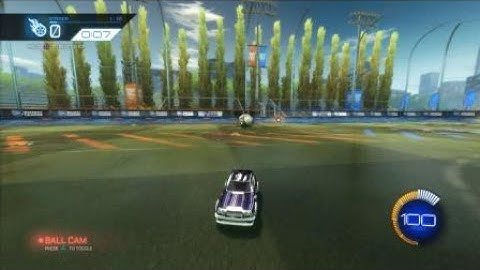 Gold Learns How to Speed Flip in 30 Seconds!!!