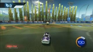 Gold Learns How to Speed Flip in 30 Seconds!!!