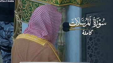 سورة المرسلات للشيخ أ.د. محمد برهجي | مغرب الجمعة 15-8-1446هـ