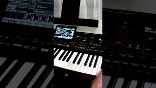 Haddaway - What Is Love - Korg Pa4X Cover By Johnny Music