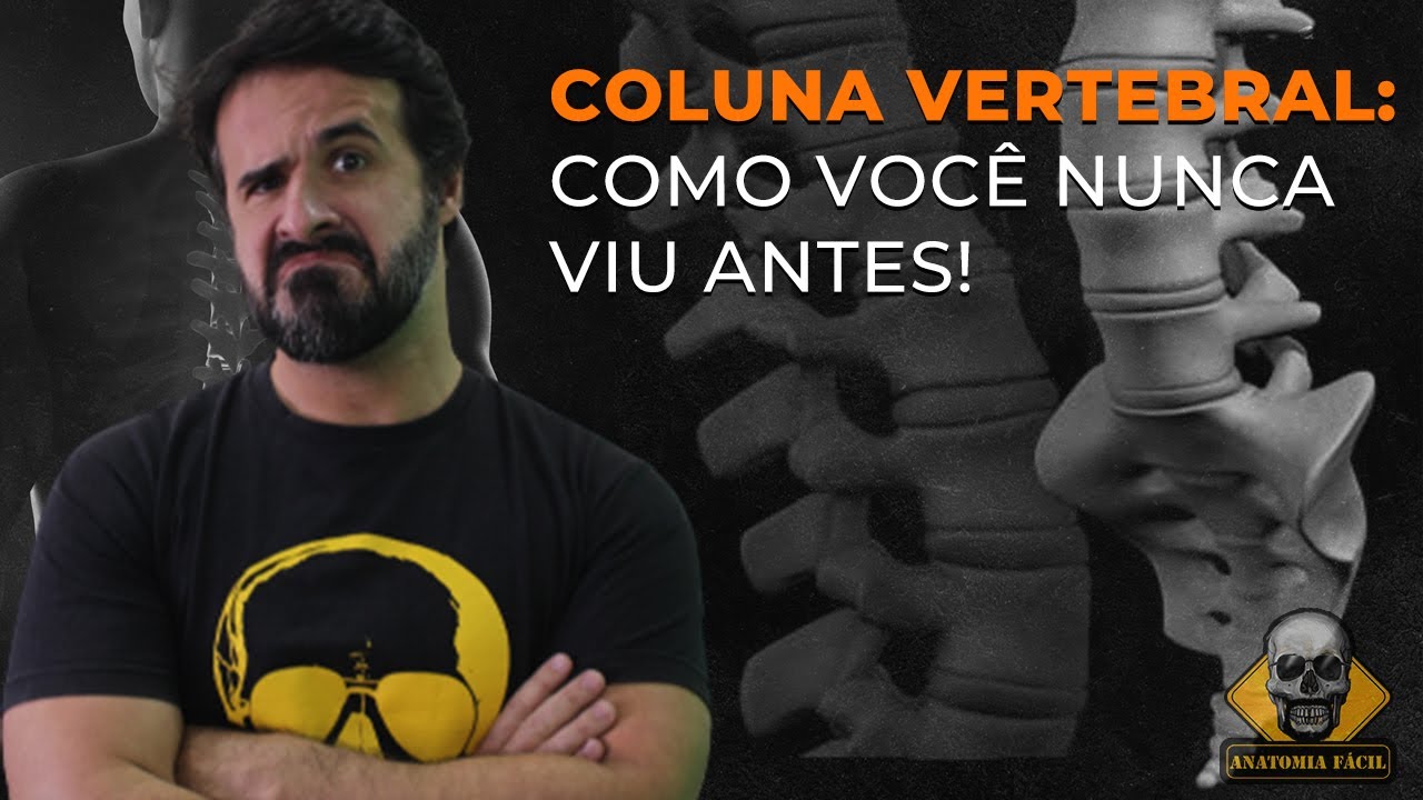 UMA NOVA MANEIRA DE SE APRENDER SOBRE A COLUNA VERTEBRAL!