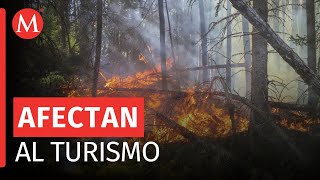 Reportan múltiples incendios forestales en Hidalgo