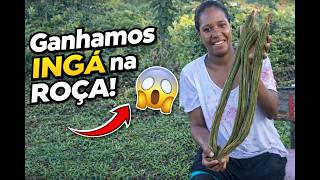 Ganhamos Ingá Aqui na Roça! Você Conhece Essa Fruta Incrível? 🌿😋
