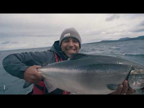 Video: Salmón del Mar Negro. Hábitats, pesca, pesca