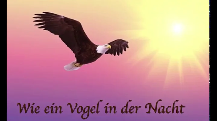 Wie ein Vogel in der Nacht