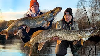 We found them  Float fishing Deadbaits for pike