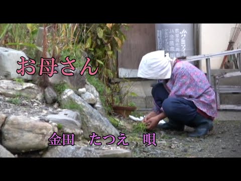 お母さん　金田たつえ　唄　iwao正明