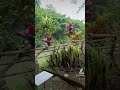 Review wisata kuliner warung lembah latar belakang gunung pati semarang