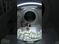 cats stealing money  #viral #cats #money #views #stealing