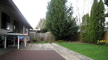 Blade MCPX maiden backyard flight