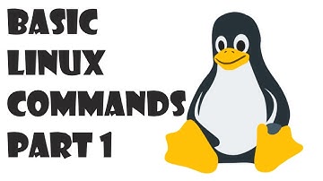 Day 8 | LINUX BASIC COMMANDS PART1 | LINUX COMMANDS SERIES