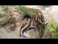 Amazing Underground Fishing | Best Fishing Video A Fisherman Catch A lot Fish With deep Hole