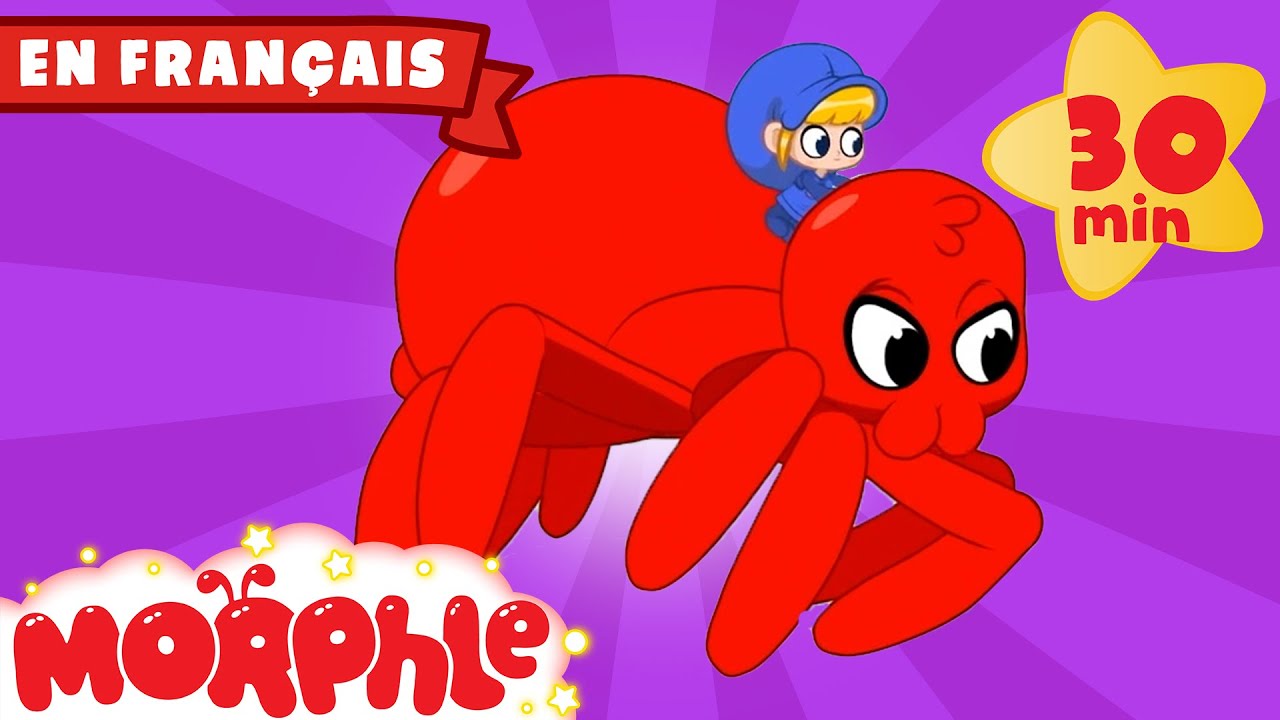 Morphle en Français | Mon araignée de compagnie Morphle | Dessins Animés Pour Enfants