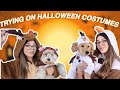 TRYING ON HALLOWEEN COSTUMES WITH MY DOGS! *SUPER CUTE*