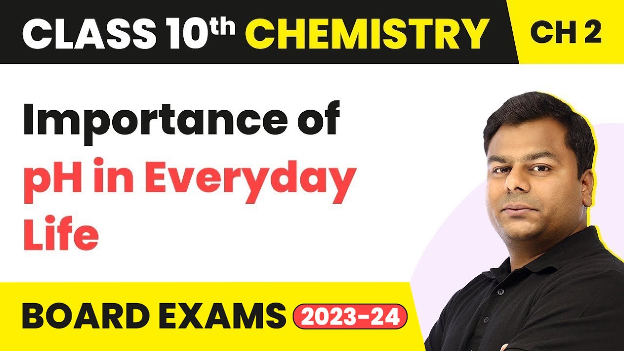 Importance of pH in Everyday Life - Acid, Bases and Salts | Class 10 Chemistry