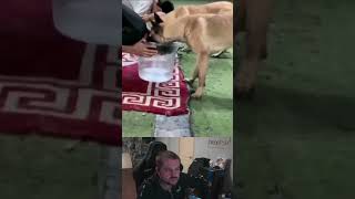 https://www.twitch.tv/neonpsh ежемесячные турниры и розыгрыши на пополнение стим кошелька !