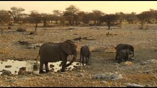 Etosha Vacation Travel Video Guide