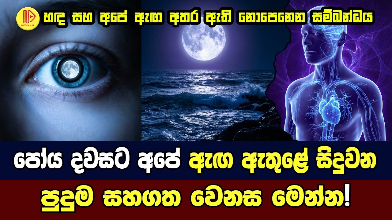 පෝය දවසට අපේ ඇඟ ඇතුළේ සිදුවන පුදුම සහගත වෙනස මෙන්න! | Scientific Secret of Poya Day