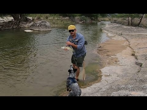 Видео: Государственный парк Педерналес-Фолс: полное руководство