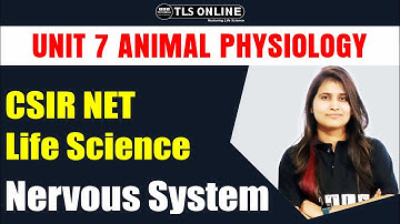 Unit-7 System Physiology-Animal I Nervous System I CSIR NET Life Sciences | Shruti Shukla |