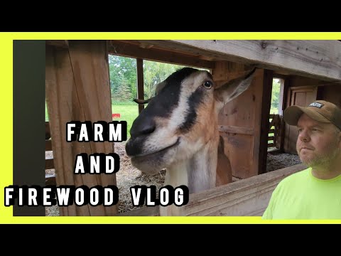 Check In On The Farm Animals And A Casual Discussion On Firewood! (Official Vlog #1)