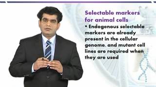 BIO732_Topic200